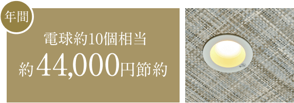 年間 電球約10個相当 約44,000円節約